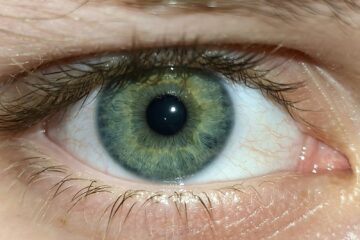 A close up of a person's green eye